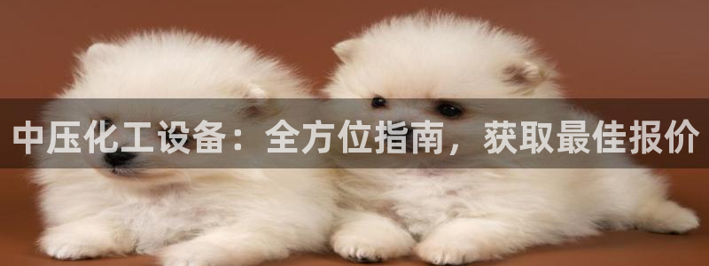 门徒平台登录注册账号