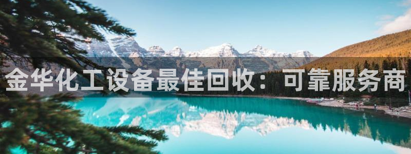 门徒平台马 411O31 门徒