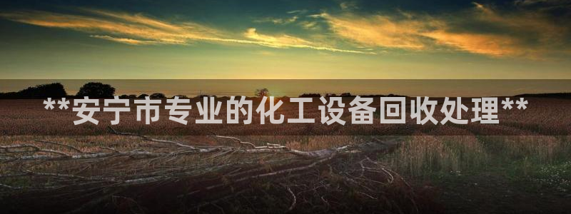 门徒娱乐属于什么系列