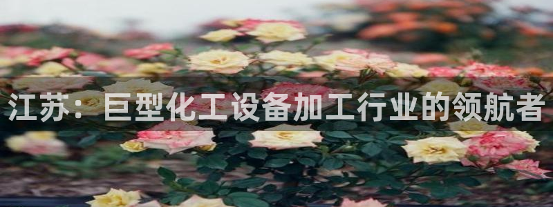 门徒平台登录地址