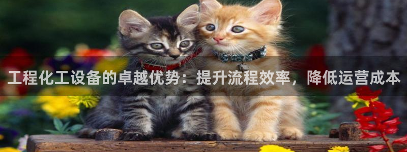 门徒平台注册中心官网查询