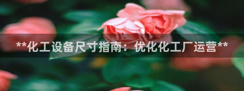 门徒平台注册登陆不上