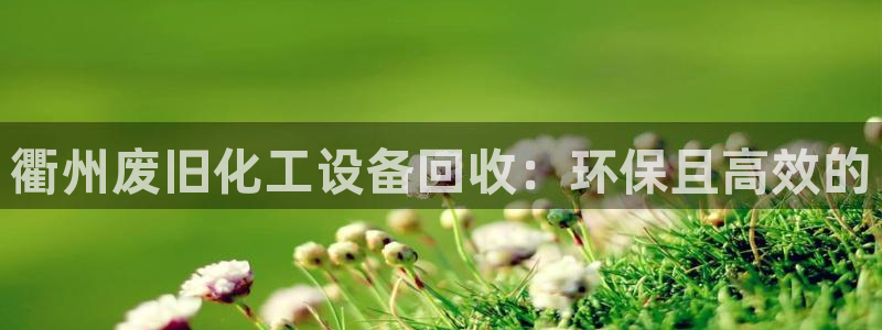 门徒平台官网注册账号