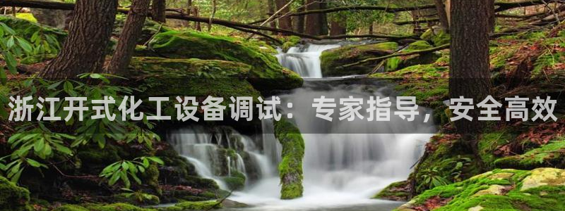 门徒平台注册中心在哪里
