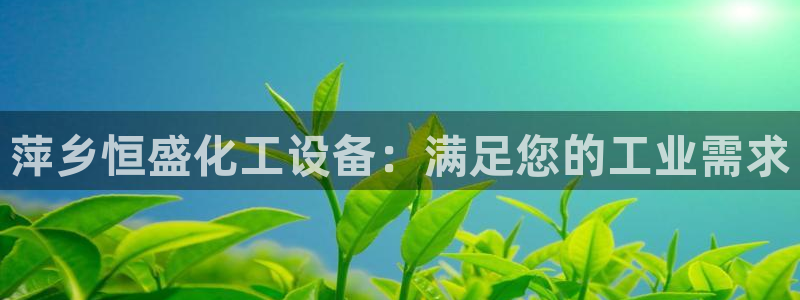 门徒平台定制 411O31 门徒