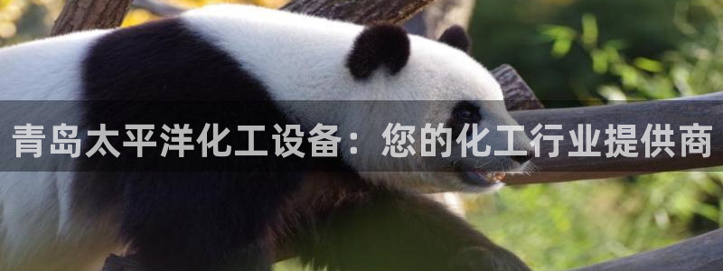 门徒娱乐财神联盟在线观看