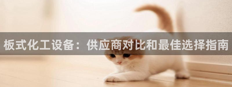 门徒平台马 411O31 门徒