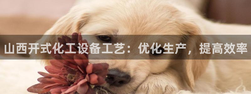 门徒娱乐有没有工资