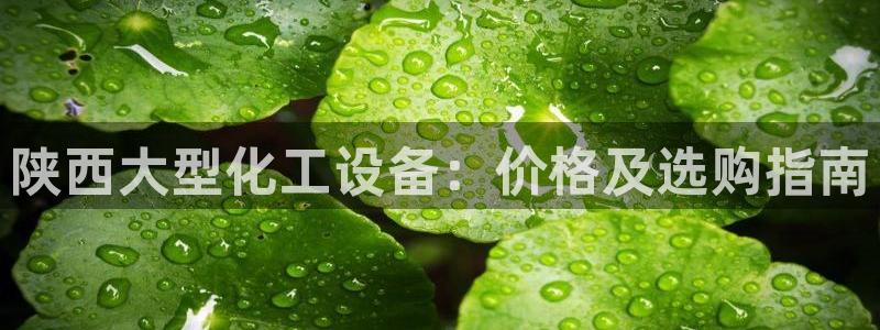门徒平台定制 411O31 门徒