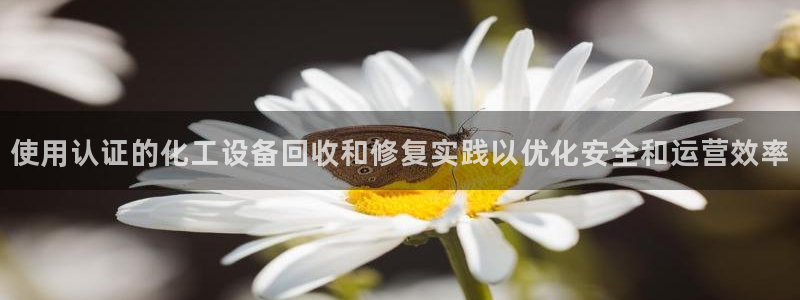 门徒娱乐服务器在哪里