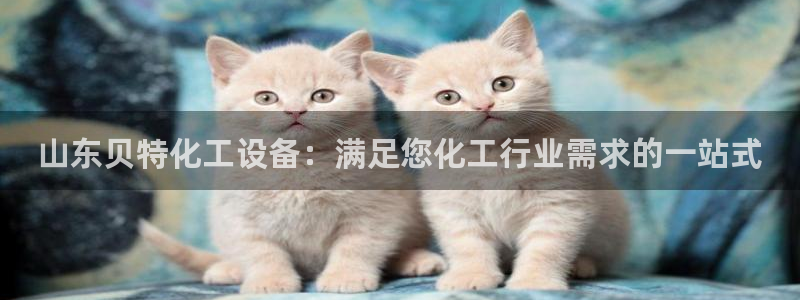 门徒娱乐平台登录不了