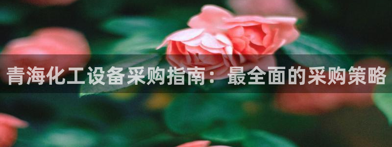 门徒娱乐平台下载安装
