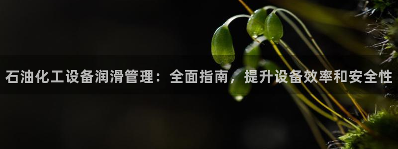 门徒娱乐注册官网入口