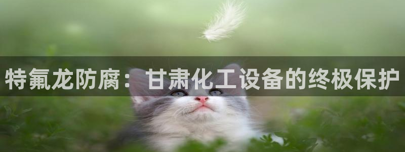 门徒娱乐平台