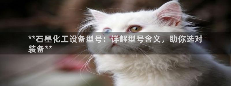 门徒娱乐项目介绍