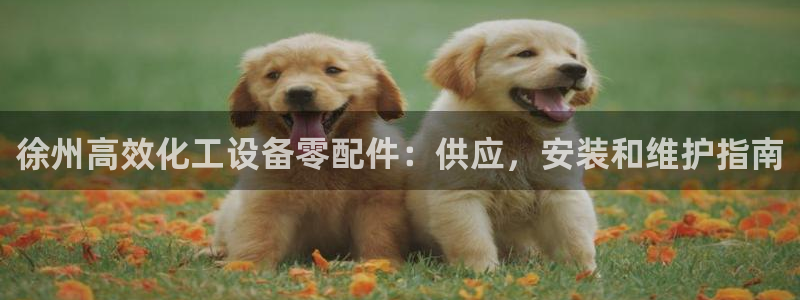 门徒娱乐的员工福利福利与价值