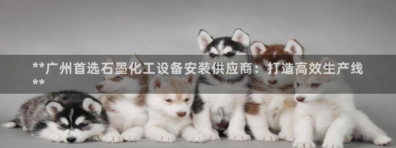 门徒娱乐是正规的嘛