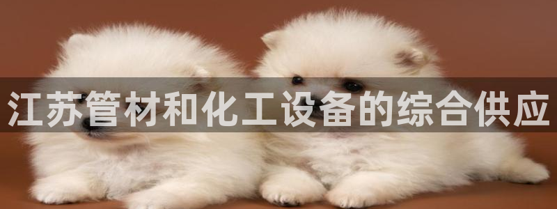 门徒娱乐成功案例