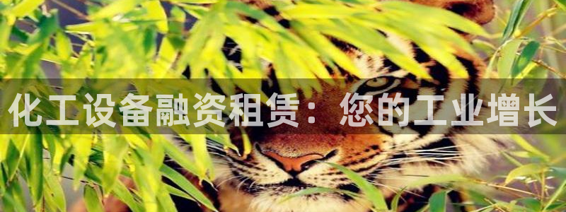 门徒平台测速网址