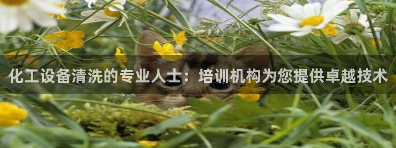 门徒平台开户怎么开通