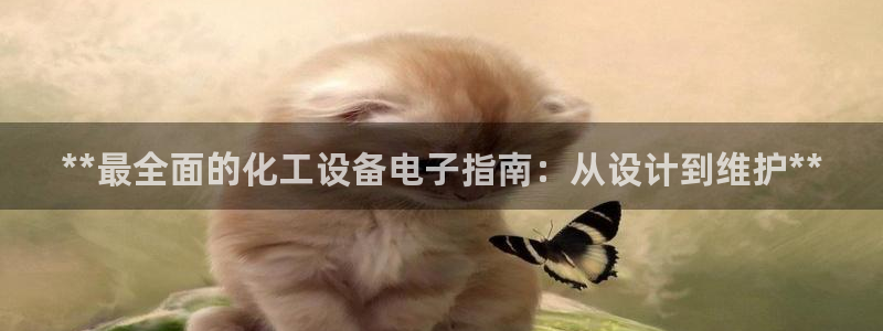 门徒平台官网注册