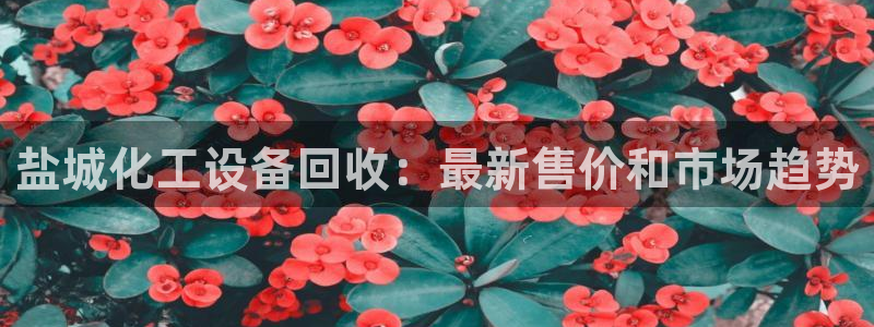 门徒平台二7O777