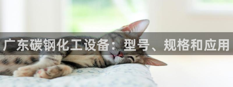 门徒平台注册登陆失败
