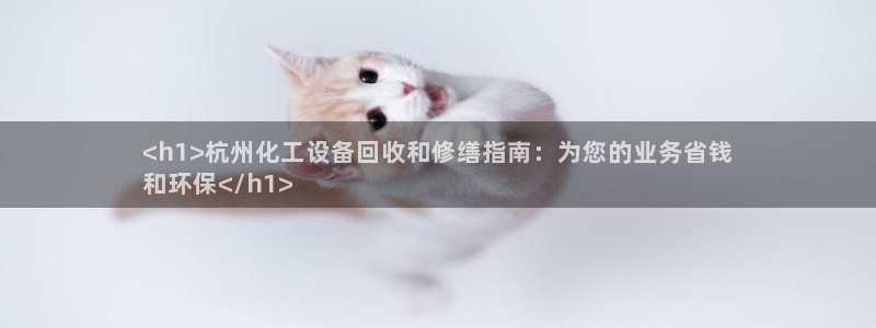 门徒平台官网注册
