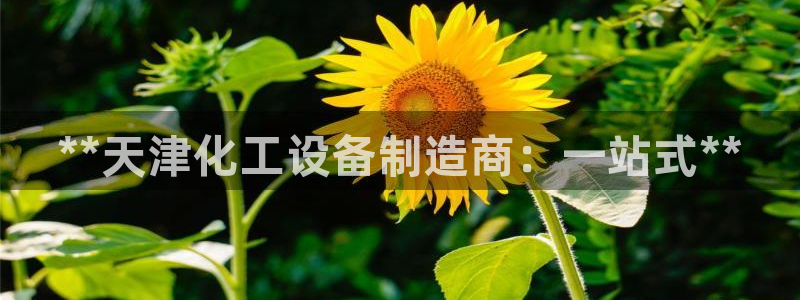 门徒娱乐是不是跑路了