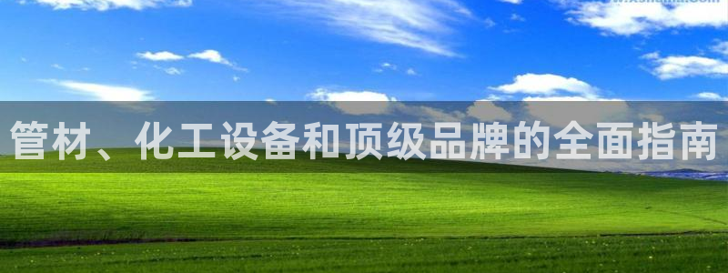 门徒娱乐用户评价与反馈