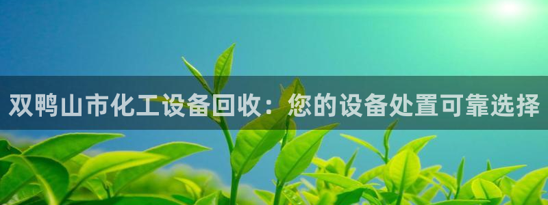 门徒娱乐能玩吗