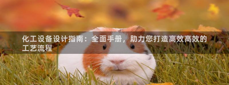 门徒平台马 411O31 门徒