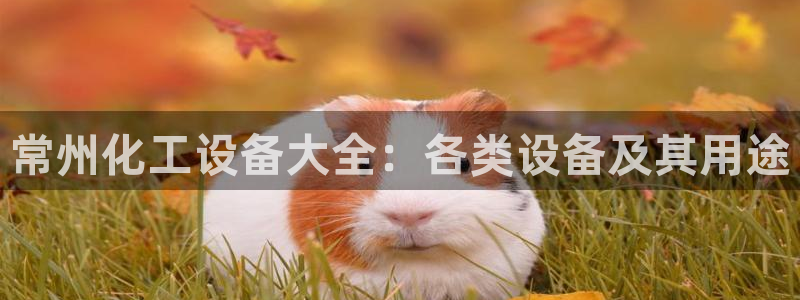 门徒娱乐QQ