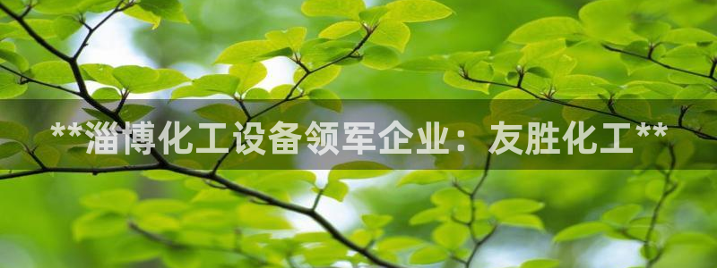 门徒平台招商