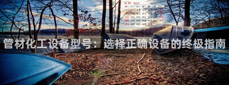 门徒平台虎 411O31 门徒