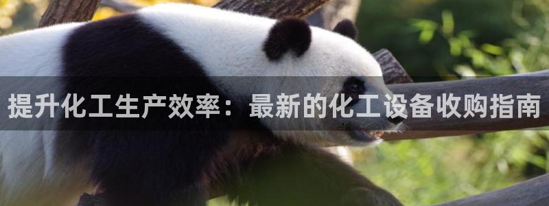 门徒平台能提款吗安全吗