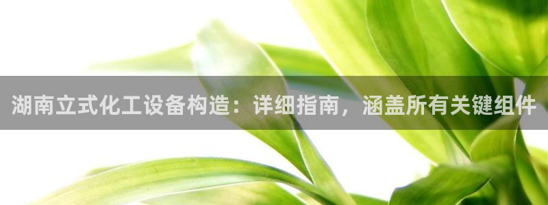 门徒娱乐线上客服