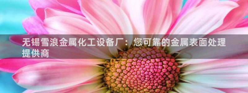 门徒娱乐平台下载安装