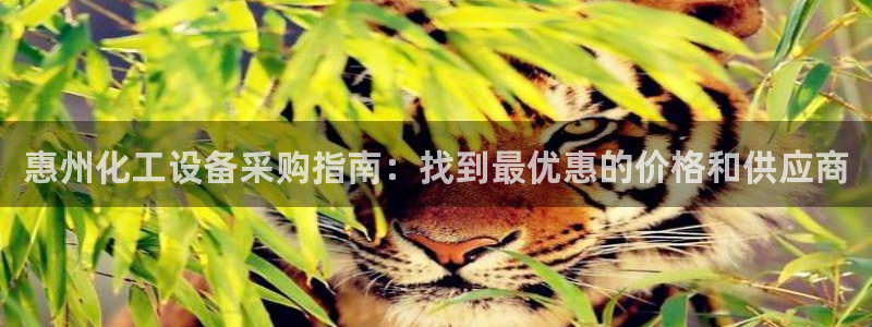 门徒平台开户流程是什么