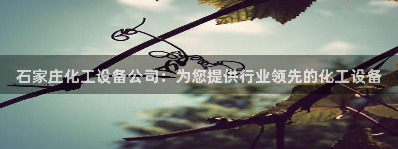 门徒娱乐平台登录1990官网下载