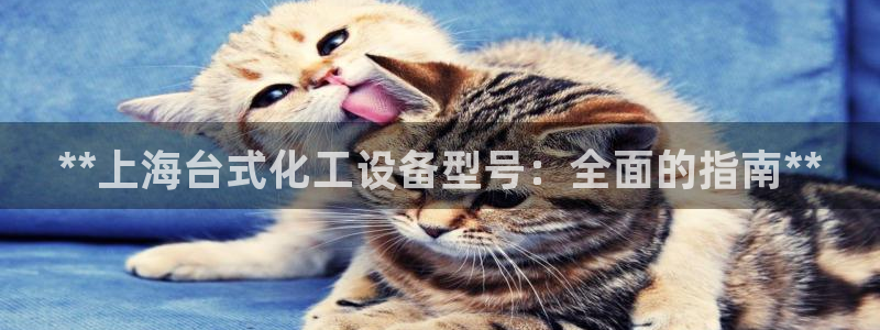 门徒平台指定入口