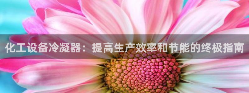 门徒娱乐网址是什么