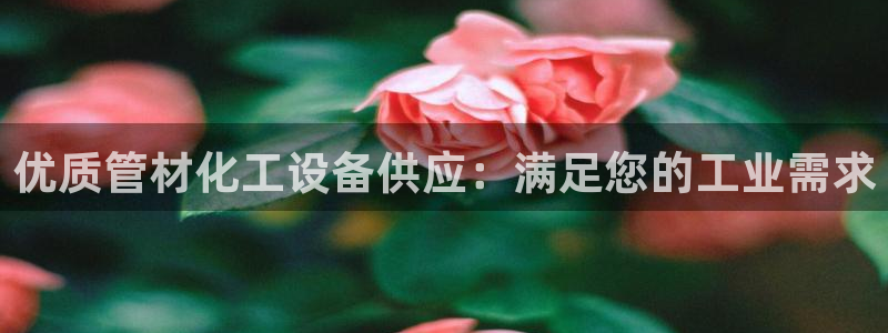 门徒娱乐平台登录地址