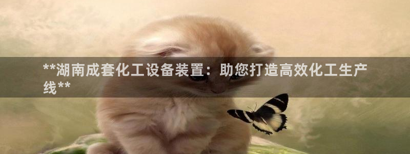 门徒在哪个平台