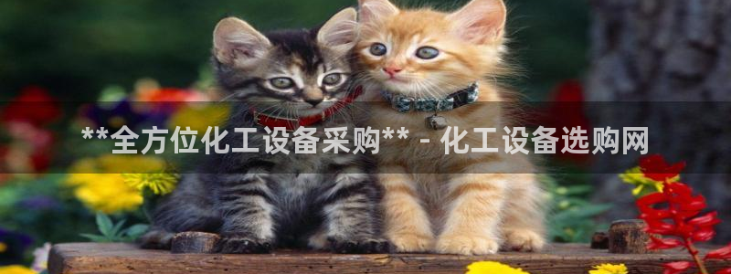 门徒娱乐注册官网