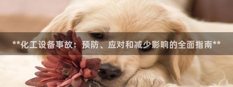 门徒在哪个平台