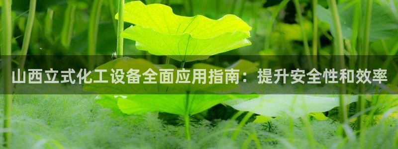 门徒娱乐网址是什么