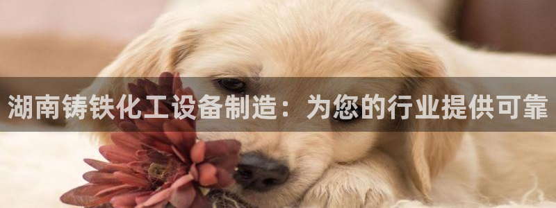 门徒平台开户条件