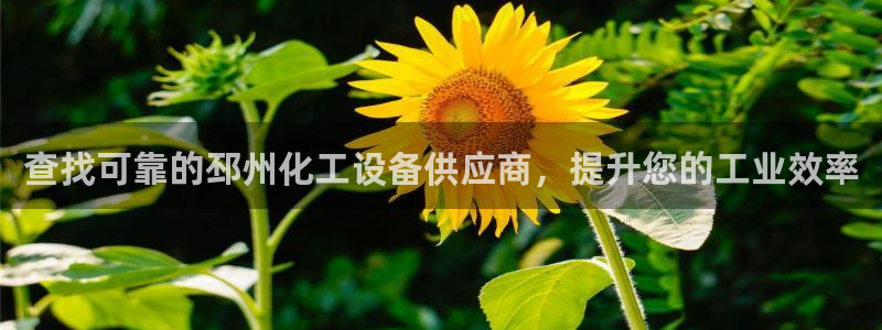 门徒娱乐负责人