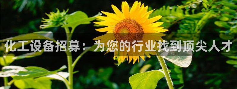 门徒平台李 5O6917 平台